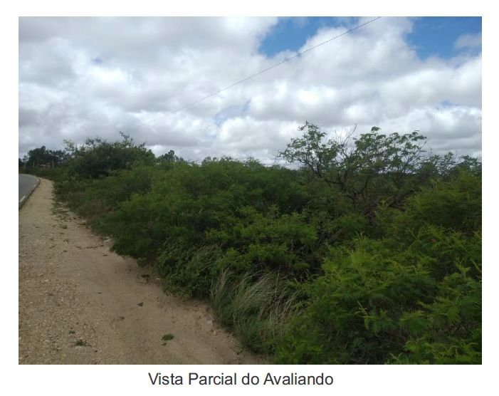 Descrição da imagem