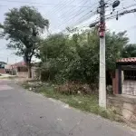 420981a9084cc5f1976e9f5c96f1779debcbec8c.jpeg