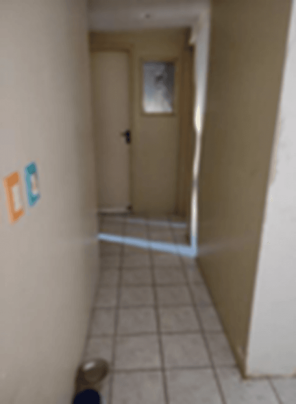 86582e1373ac81.png