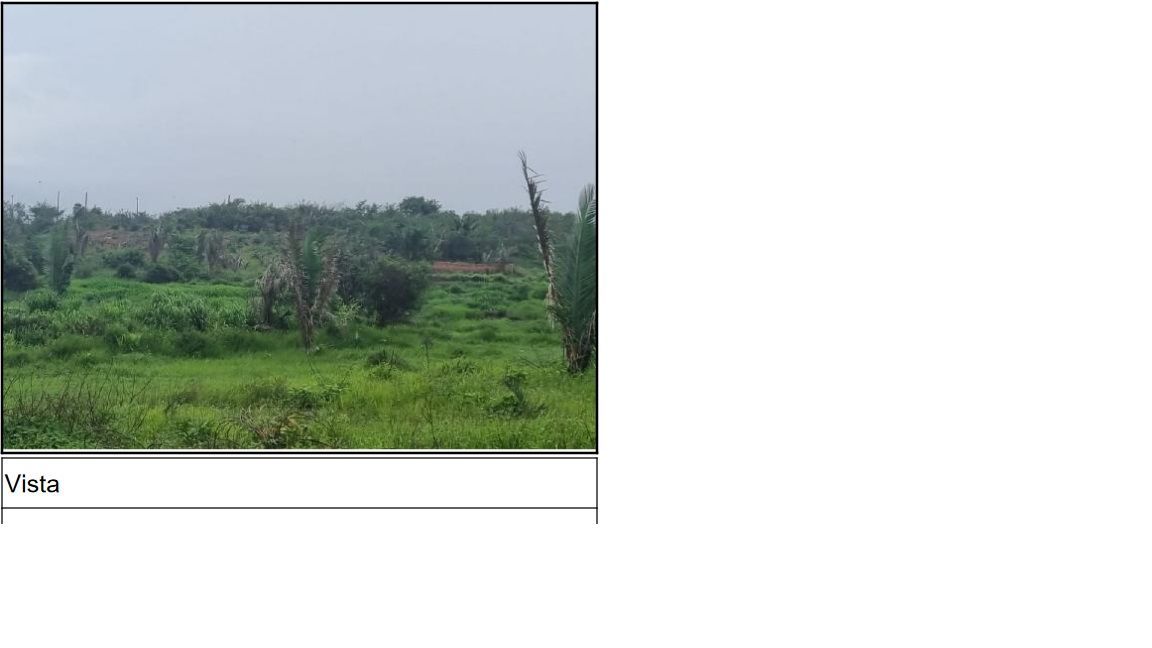 F000001000838821.jpg