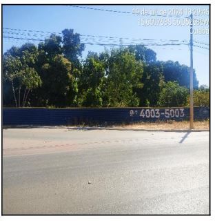 F000001019484321.jpg