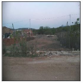 F000001019681821.jpg