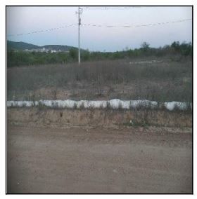 F000001019681921.jpg