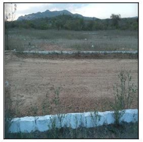 F000001019682021.jpg