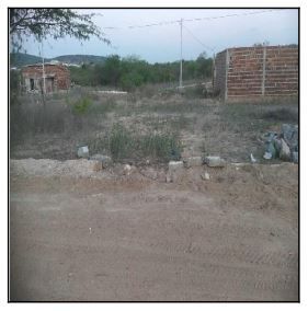 F000001019682421.jpg