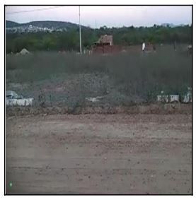 F000001019682821.jpg