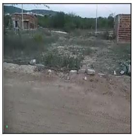 F000001019682921.jpg