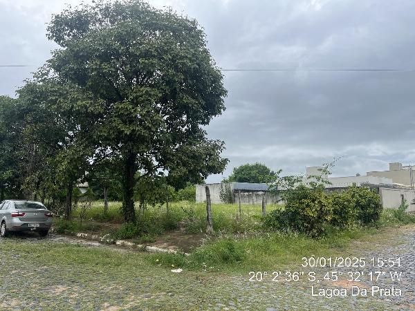 F144441991183121.jpg