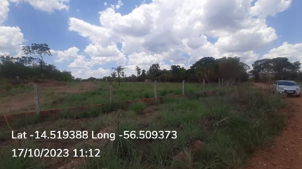 F155553191238221.jpg