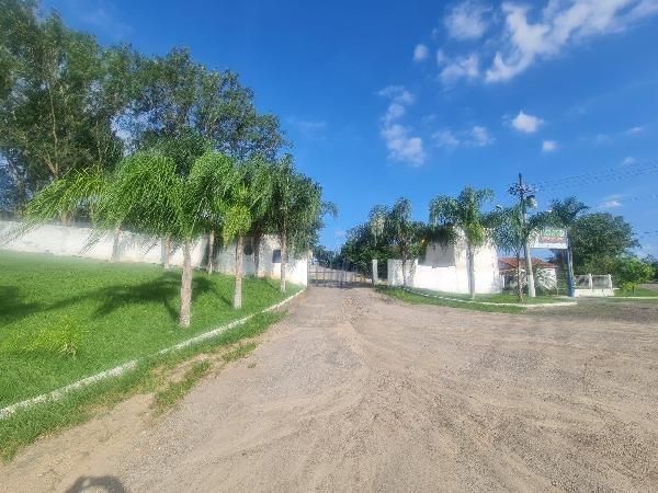 F155553237618221.jpg