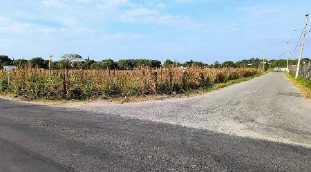 F155553331332023.jpg