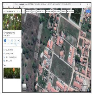 F844441771692421.jpg