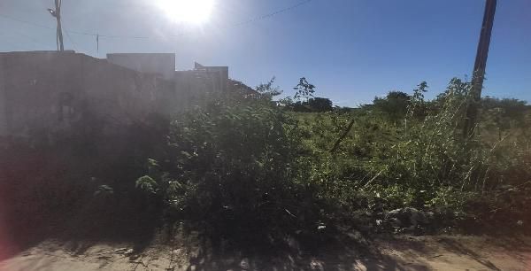 F844442541633021.jpg