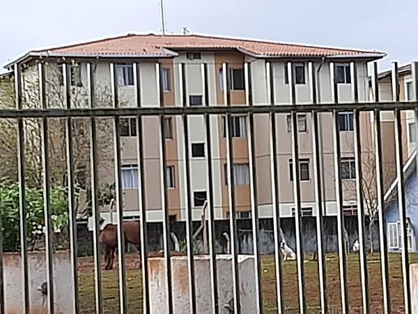 F855550601825621.jpg