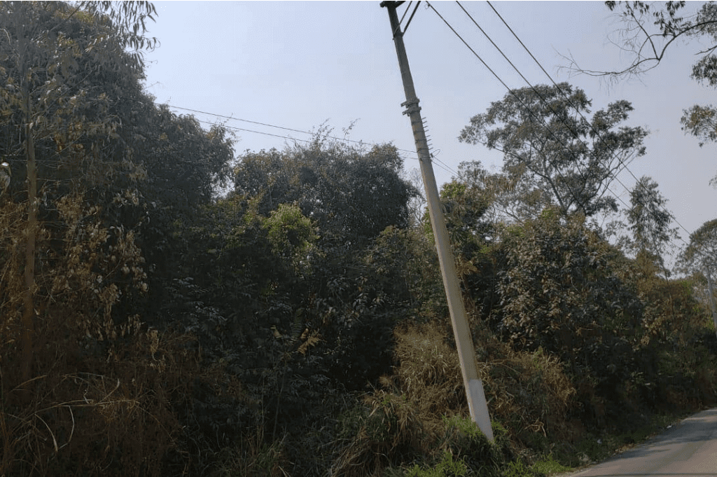 bd2297950de3352cb9109af4d3e1e7d0.png