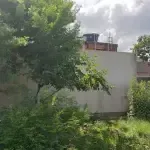 d82cfb12724e05ec3de5f43115a84e2b5ca94690.jpeg
