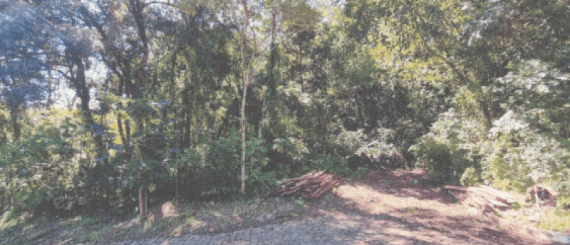 img-1959-654bbadf8bd67.png
