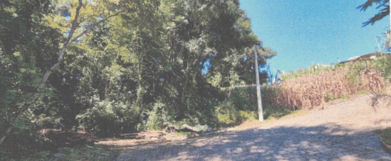 img-1960-654bbb0fcfb7e.png