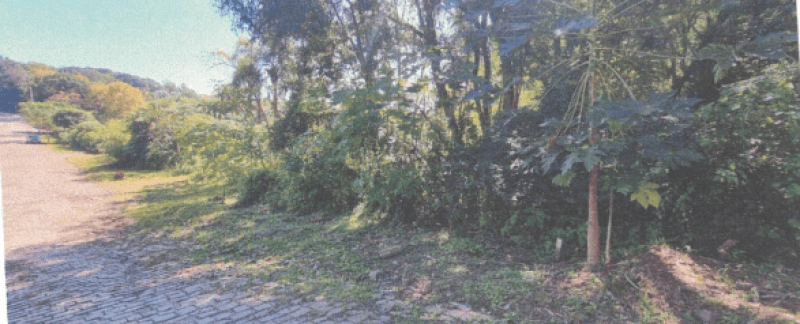 img-1961-654bbb8010ce4.png