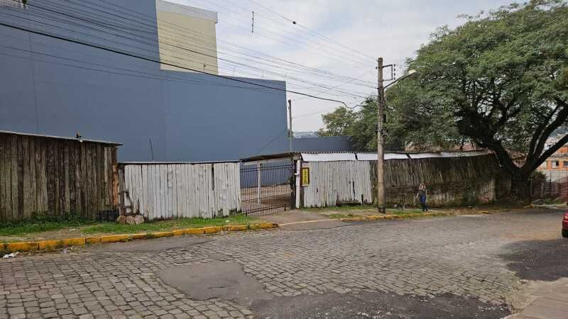 img-2251-66a8e246410df.jpeg